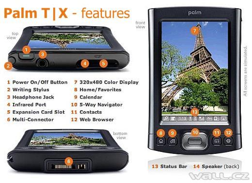 Palm TX