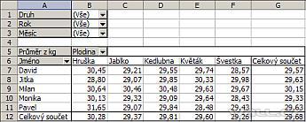 Excel - kontingenční tabulka.