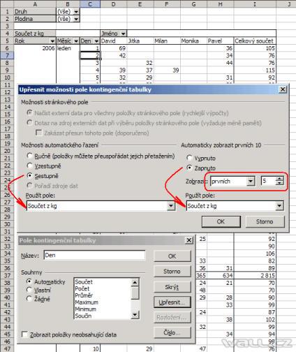 Excel - kontingenční tabulka